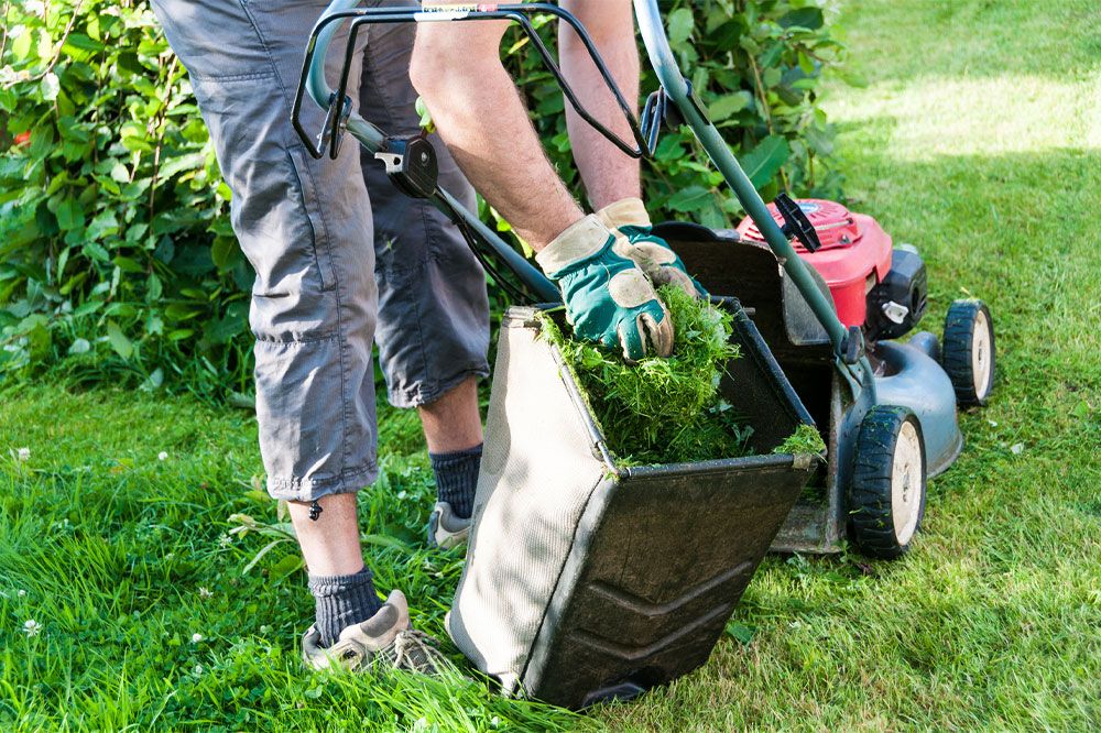 4 best lawn care companies in 2022