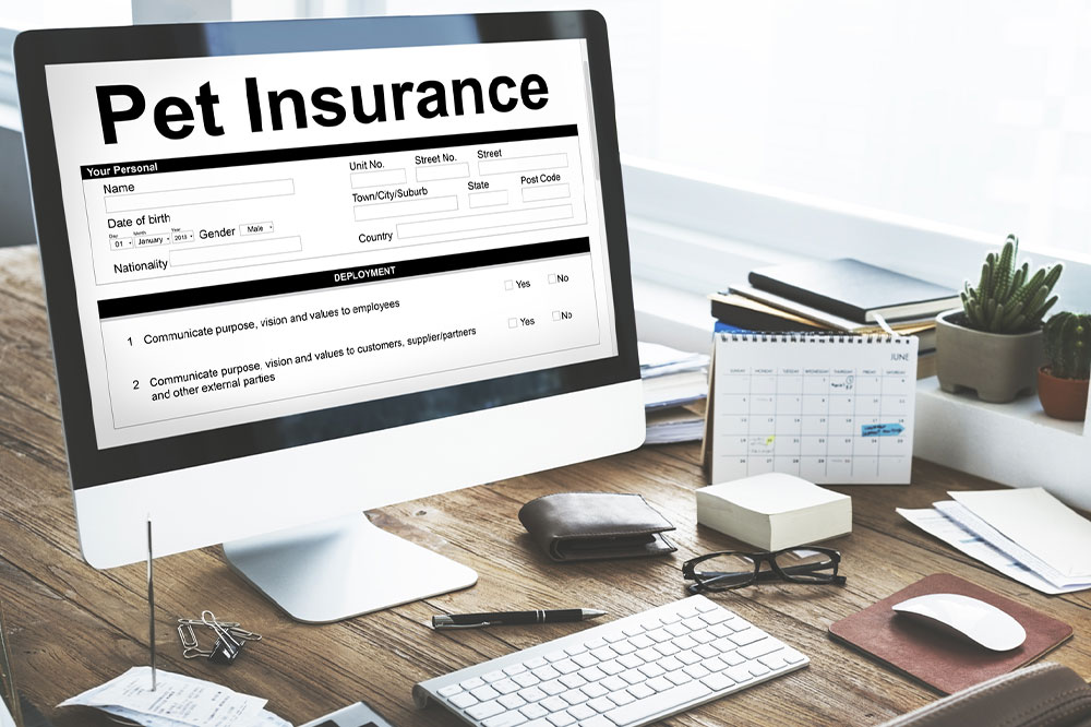 5 best pet insurance providers