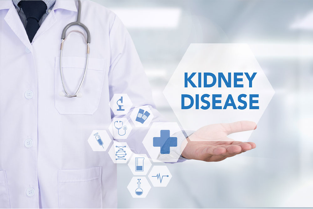 Kidney disease – Causes, symptoms, and more