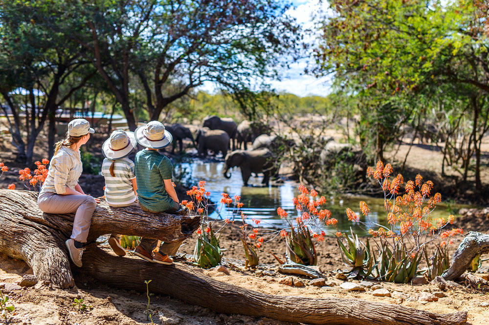 How to choose the best African safari