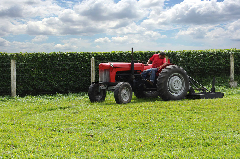 Factors to consider before buying a used farm tractor