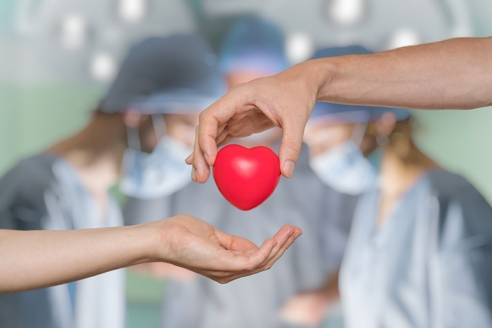 Knowing the basics of a heart transplant procedure