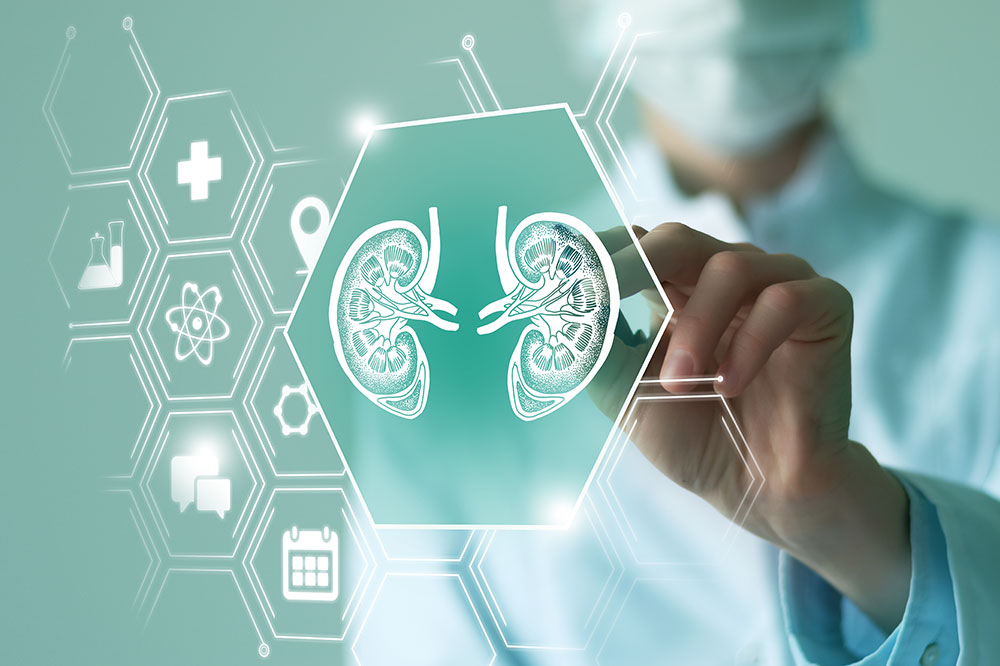 Renal angiomyolipoma – What it is and its management