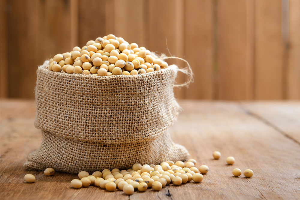 Soy – Types, health benefits, and side effects